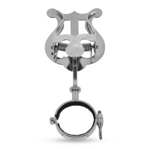 Lira clarinet Riedl mic